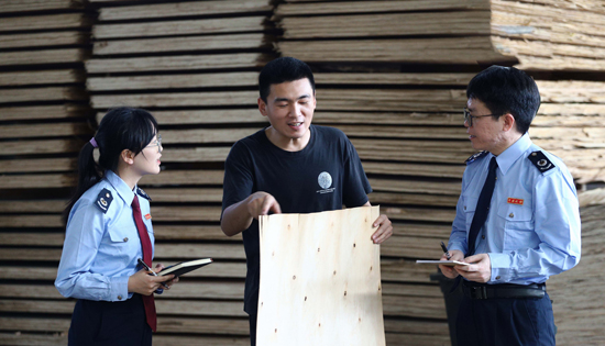 防城港市防城区税务局青年业务骨干走进本地木材加工企业，开展“一对一”精准辅导。