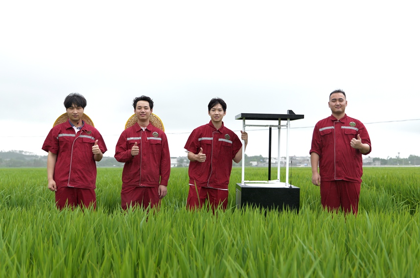 “‘機’智護稻”項目團隊在田間進行病虫害監測。潘知南攝