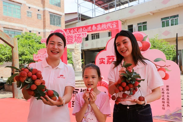 港南优质荔枝品种仙进奉亮相现场。曾钎祥摄