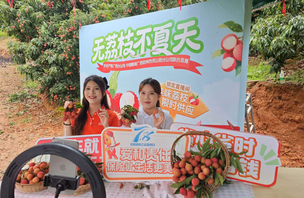 平安主播正在直播。平安產險廣西分公司供圖