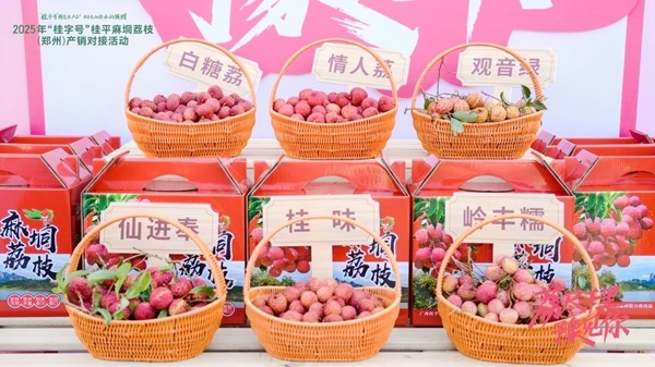 荔枝品種展示。主辦方供圖