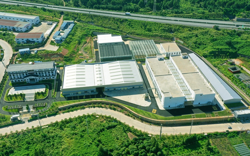 资源：优化林下经济营商环境 激活绿色振兴新引擎
