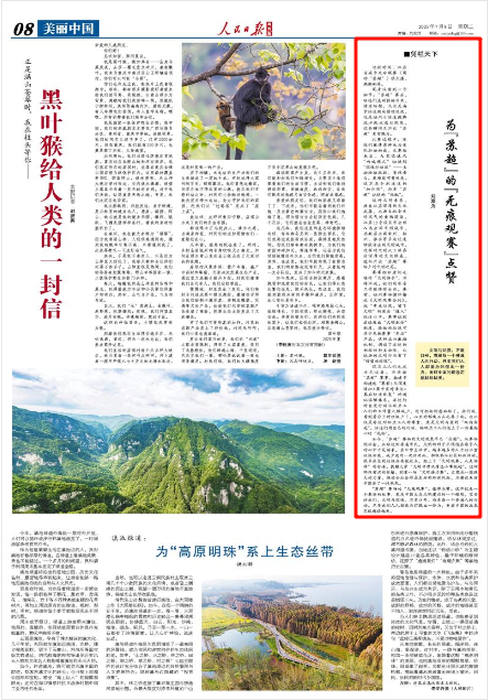 版面截图