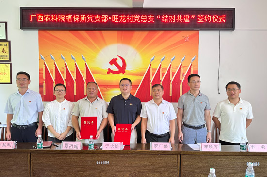 兴业县委组织部供图