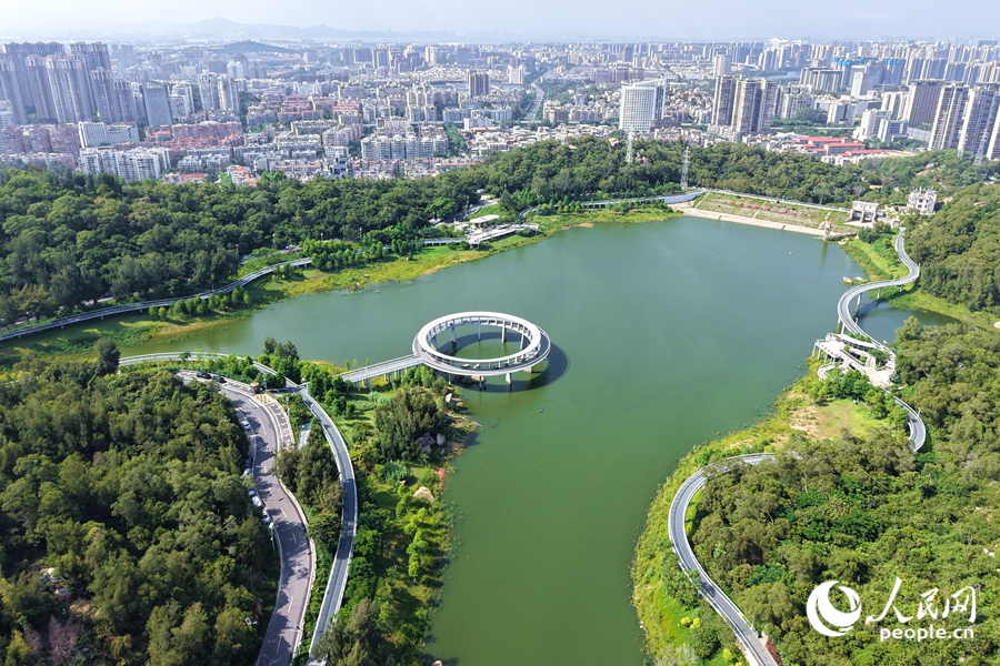 盛夏时节的厦门东坪山风景秀丽