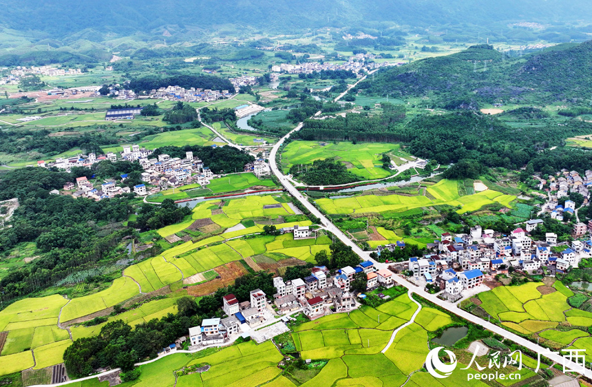 夏日田园美如画