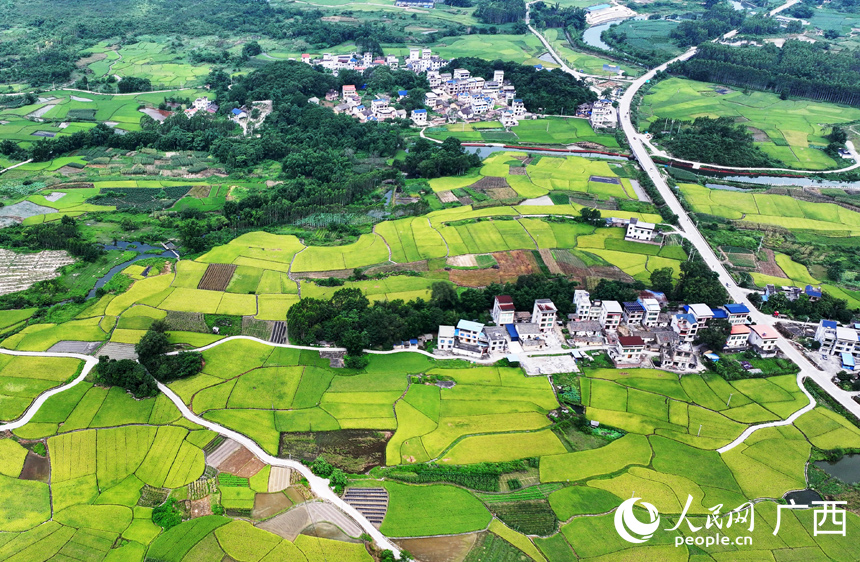 田野与道路、村落、河流、青山相互映衬