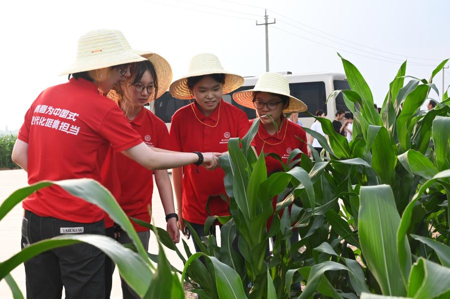 厦门大学学生在田间地头调研实践