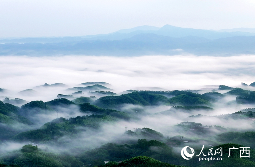 山林间雾霭缥缈