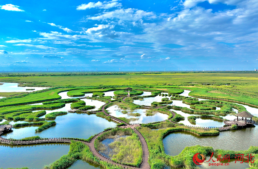 南大港湿地风景
