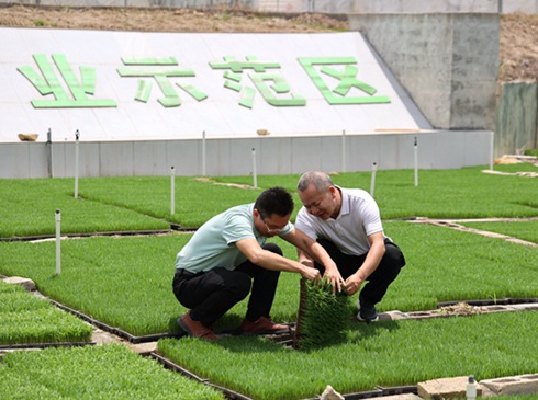 玉州區：科技賦能 搶抓晚稻育秧關鍵期  近年來，玉州區深耕科技強農戰略，推動水稻育秧向集約化、規模化、標准化轉型。育秧設施機械化水平持續提升，不僅減輕了農戶的勞作強度，更讓秧苗的生長速度、成活率與品質穩步提高，為全區今年高質量完成10萬畝晚稻種植任務奠定了堅實科技根基……[詳細]