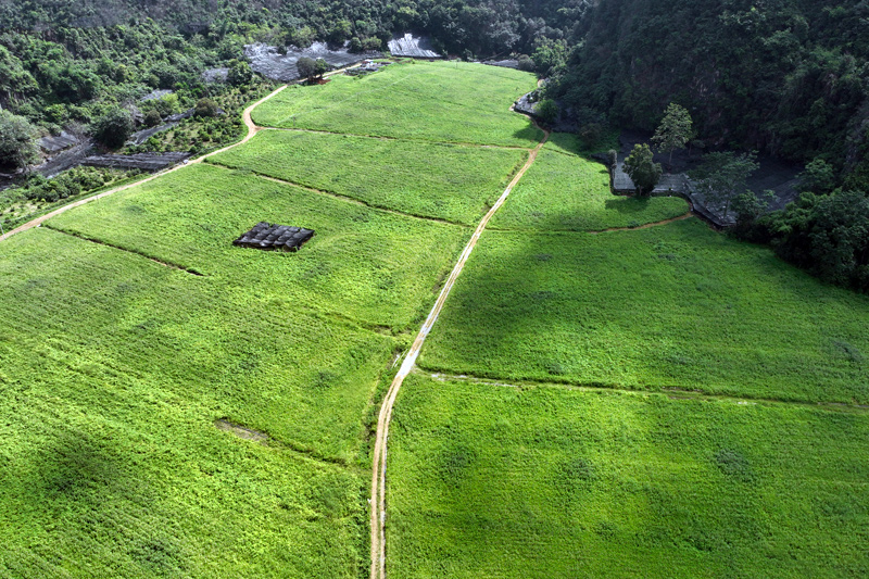 鳳仙花種植基地航拍。馬必良攝