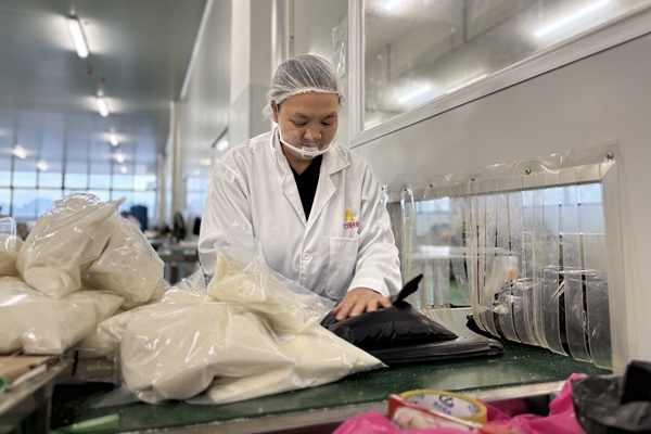 興農食品公司大化現有工廠工人在分裝白糖。廣西廣路集團供圖