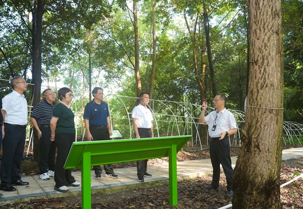 与会人员参观维都林场雅江分场森林可持续经营示范点