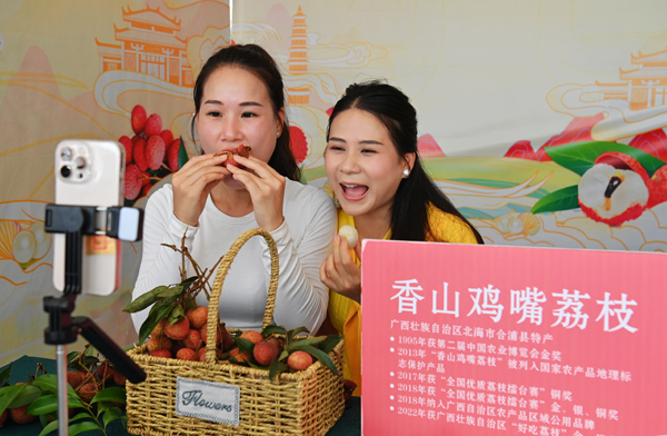 电商直播销售香山鸡嘴荔枝