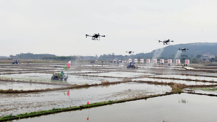 無人駕駛耕地機、插秧機以及農用型無人機等各種智能化農用機械，今年在玉林早稻種植中頻頻亮相