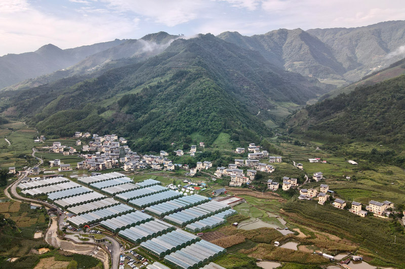 田林爱善庄园。何善权摄