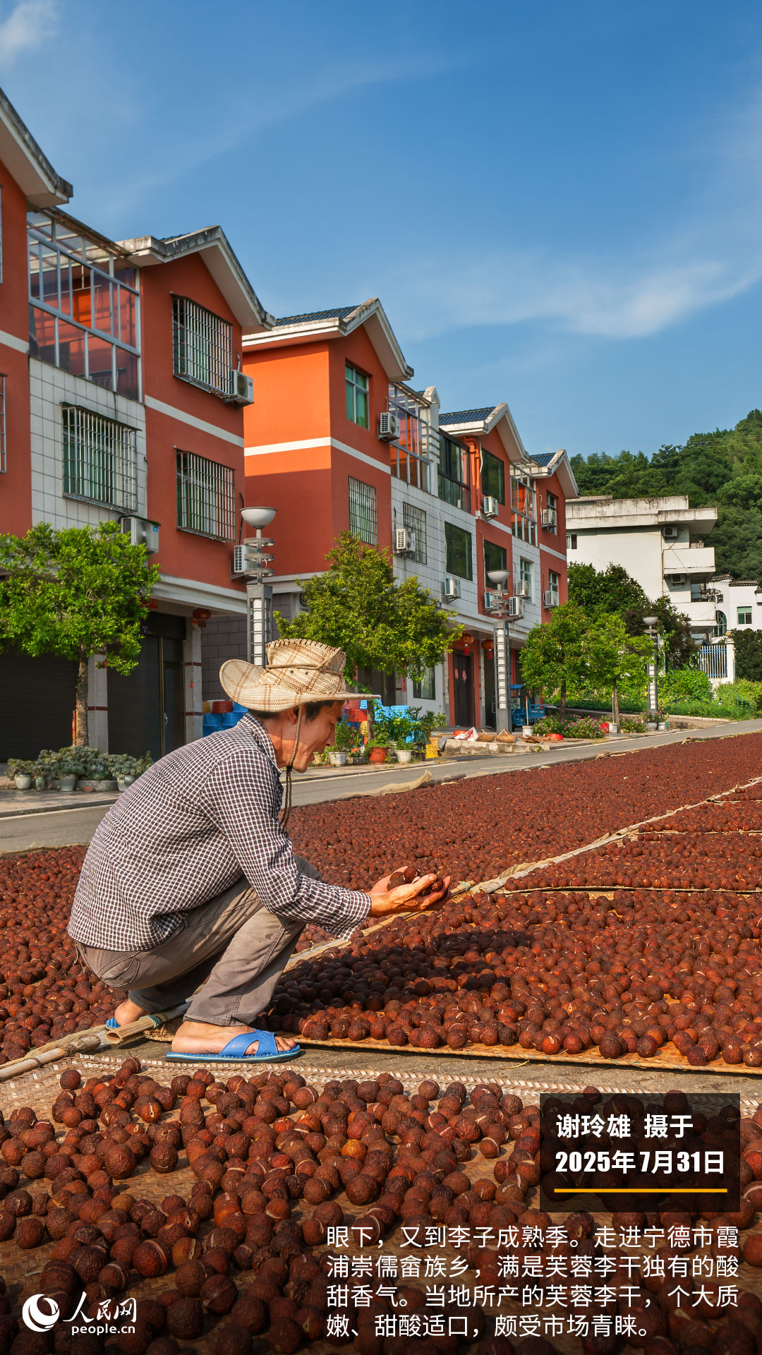 图片描述：内容概述