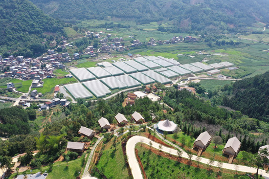 爱善庄园以森林景观为特色,配套建设精品文旅项目森林营地。田林县委宣传部供图