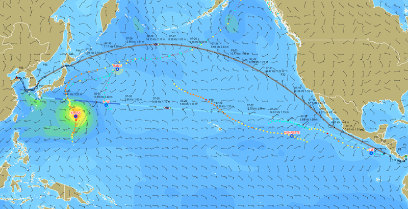 云遥宇航提供的轮船周边及航线上的气象、风浪、洋流数据信息