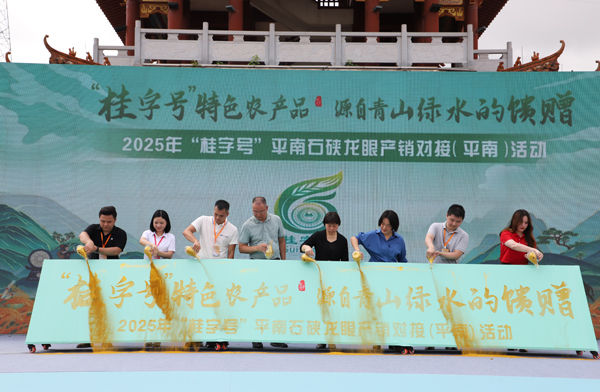 6月24日，平南县在江北公园举办2025年“桂字号”平南石硖龙眼产销对接活动