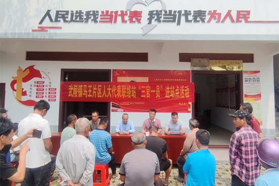 武陵镇开展“三官一员”进站点活动