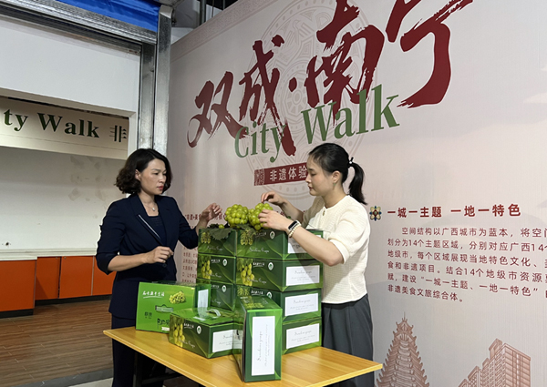 黨員教師在展銷區整理葡萄。侯穎攝
