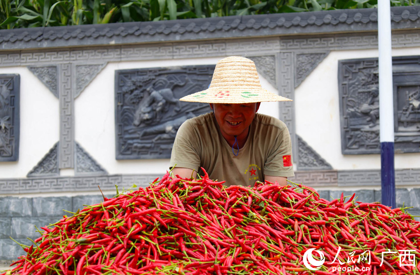 村民在晾晒辣椒。