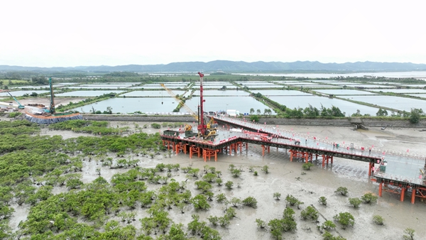 合湛高鐵鐵山港跨海特大橋海上橋墩施工棧橋航拍。陳磊攝