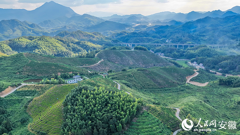 京福高铁穿柳溪村而过。图片由张俊拍摄