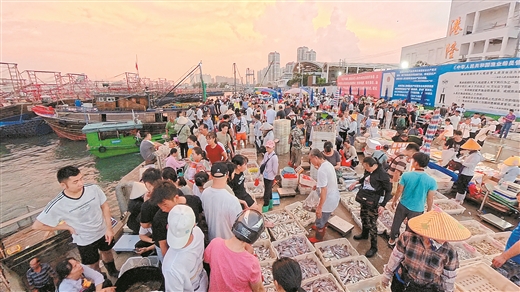 开海以来，侨港电建渔港渔获大幅增加，码头每天人流如织。 广西云-广西日报记者宾士雄/摄