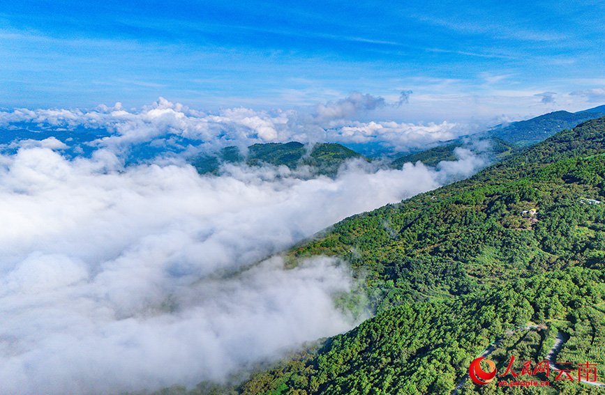 苍山西坡壮丽云海景观。