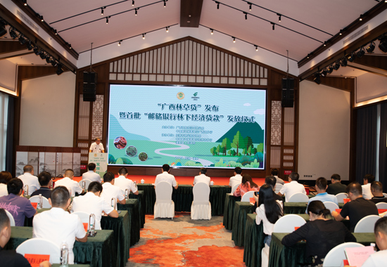 发布仪式现场。邮储银行广西区分行供图