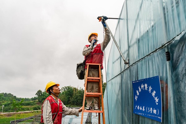 电力人员正在检查大棚用电设备。