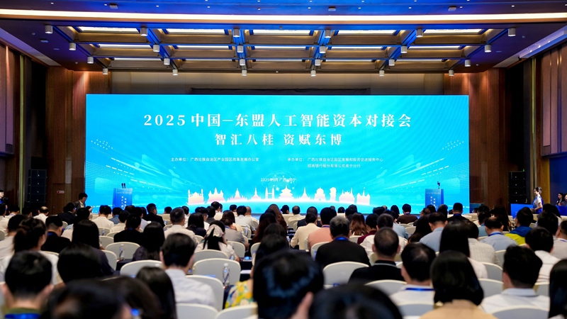 會議現場。主辦方供圖