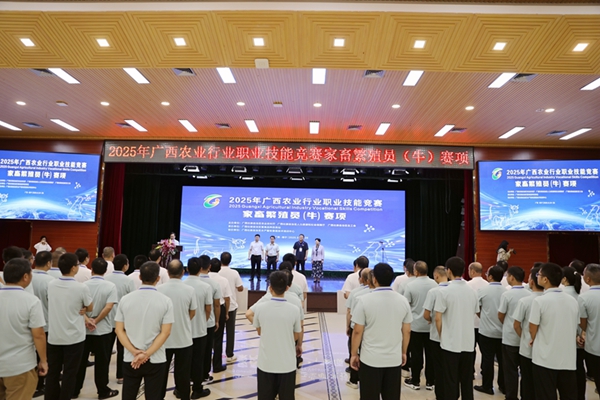 競賽活動現場。主辦方供圖