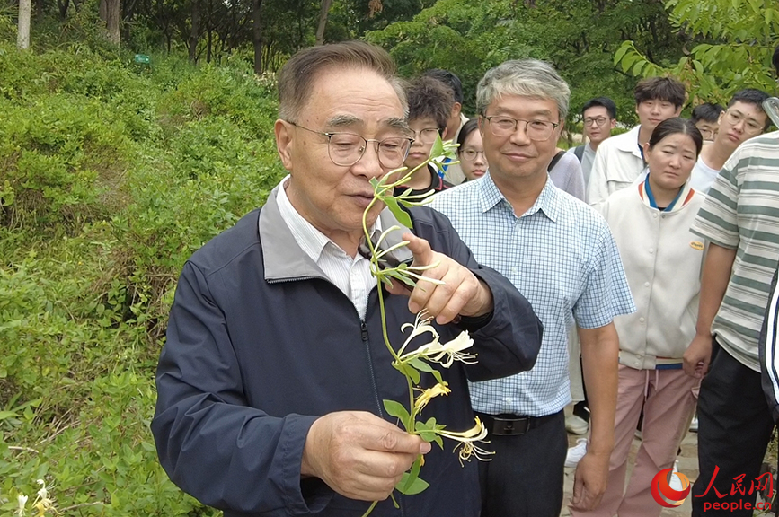 张伯礼在如意药岭讲解金银花特性。 实拍图片