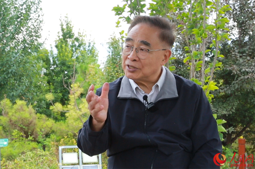 张伯礼接受媒体采访。 实拍图片