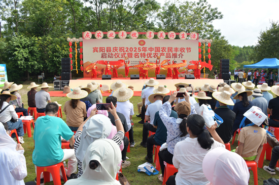 活動現場。賓陽縣委宣傳部供圖