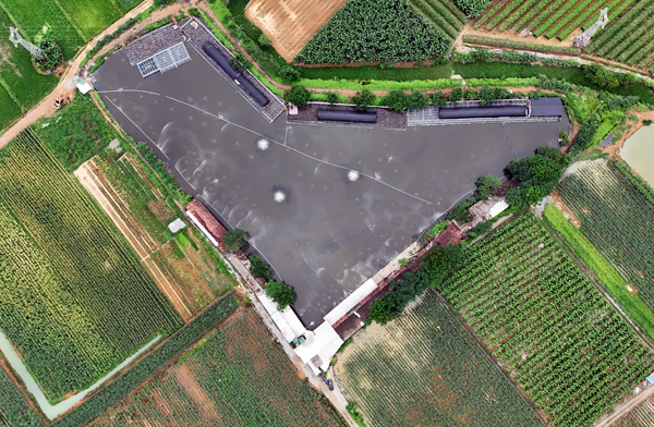 南寧壇洛鎮金光農場畜禽糞污資源化利用示范基地航拍圖。主辦方供圖