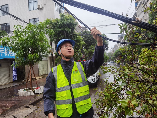 台風過后電信技術人員搶修被樹撂倒的光纜。陸一川攝