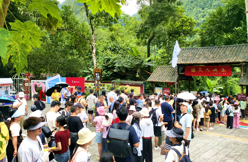 百色靖西古龙山通灵大峡谷景区游客如织，单日游客量、单日营收取得“双突破”。广旅文旅股份公司供图