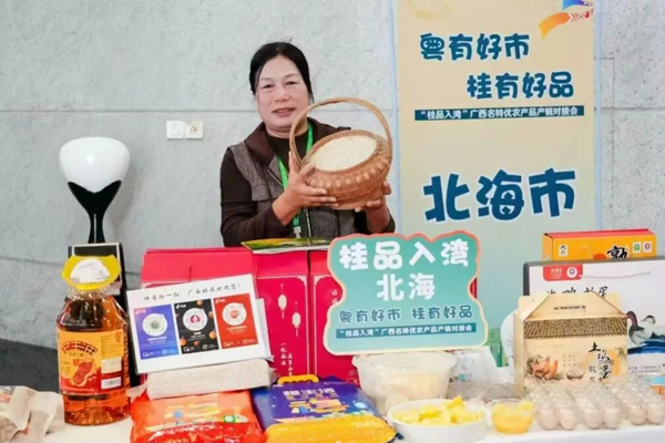 北海市铁山港区南康镇大塘村党支部书记、村委会主任、妇联主席陈春燕