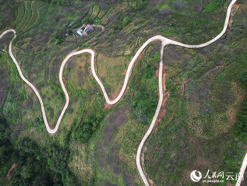 航拍富恒村的硬化路
