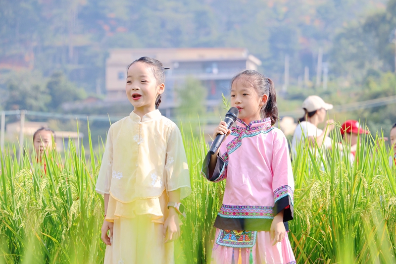 學生們在稻田邊合唱秋季豐收主題歌曲