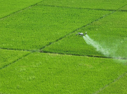 玉州區：“一噴多促”保晚稻增產豐收  眼下正是晚稻抽穗揚花、灌漿結實、產量形成的關鍵時期。在玉林市玉州區城北街道高山村314畝稻田裡，一架植保無人機在飛手熟練操控下騰空而起，依靠北斗精准定位，按照規劃路線來回快速均勻噴施肥藥劑，集中開展“一噴多促”肥藥劑混合噴施作業，科學防治病虫害，提升晚稻抗逆減災能力……[詳細]