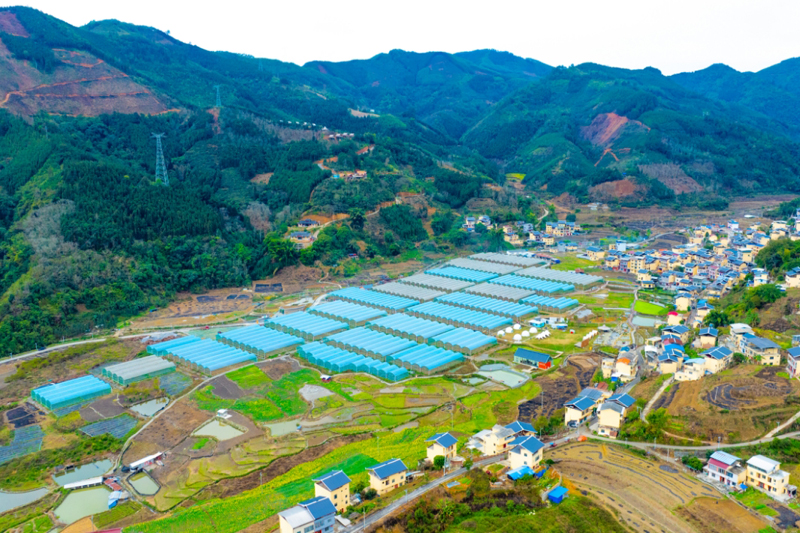 爱善庄园全景图。蒙金山摄
