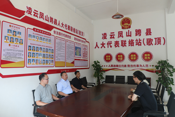 凌云、凤山两地人大代表在协商议事。凌云县融媒体中心供图