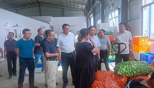 广西作物遗传改良生物技术重点实验室专家组赴玉林开展合作交流