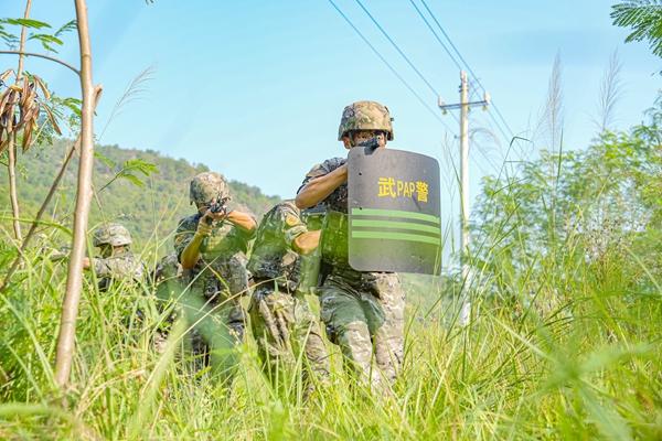 武警官兵进行高苗地协同搜索。马文杰摄